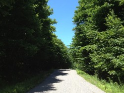 Chemin privé en montagne de 1 km pour se rendre aux bâtiments.